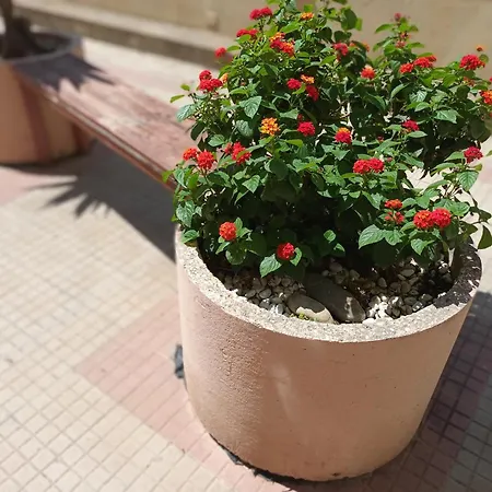 Casa Sandalyon Appartement *