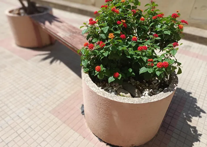 Casa Sandalyon アパート *